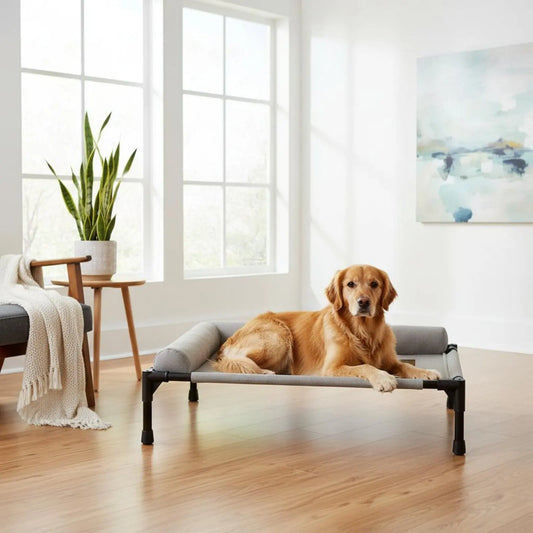 Elevated Pet Bed All-Sekkon Use Raised Dog and Cat Bed Pet Cot Moisture-Resistant Easy to Clean for Dogs, Travel, Patio