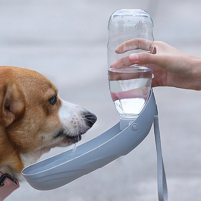 Portable Dog Water Bottle For Small Large Dogs Foldable Lightweight Drinking Bowl Outdoor Travel Walking Running Puppy Supplies