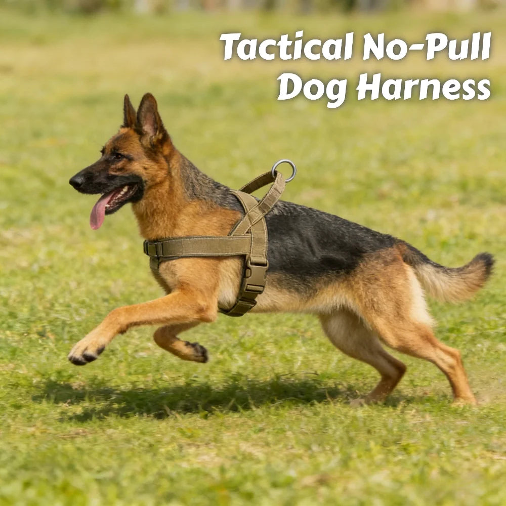 Tactical No-Pull Dog Harness for Dogs: Chew-Resistant Vest for Large Breeds, Adjustable & Padded for Control