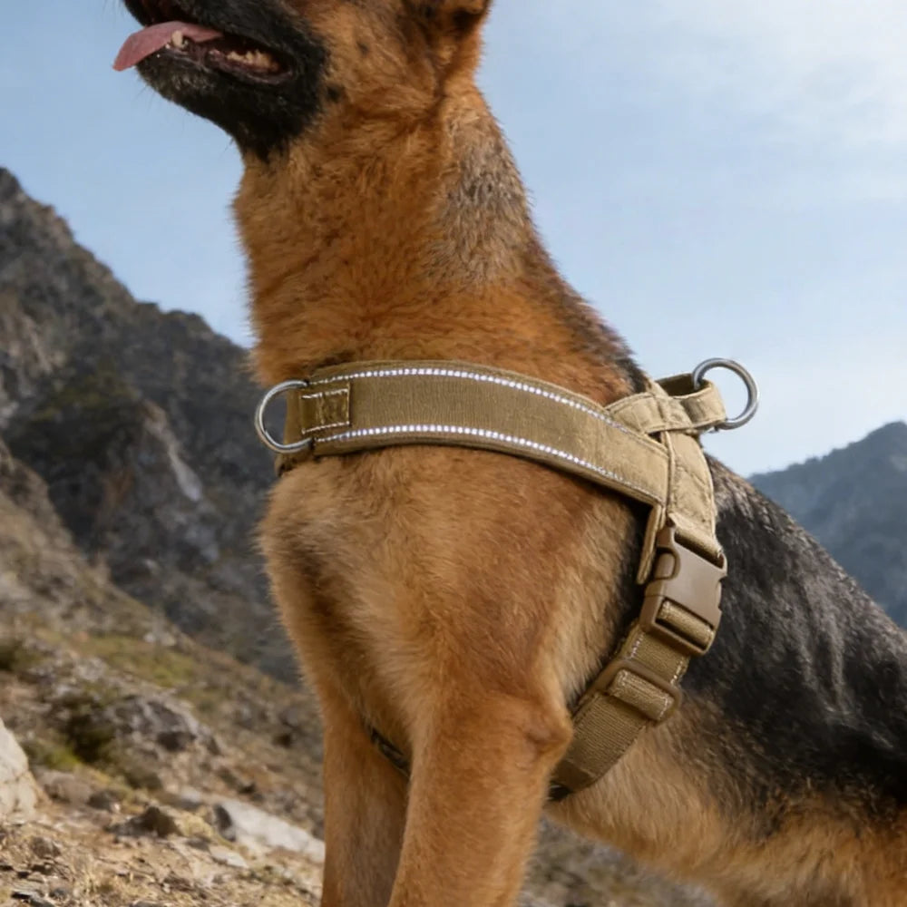Tactical No-Pull Dog Harness for Dogs: Chew-Resistant Vest for Large Breeds, Adjustable & Padded for Control