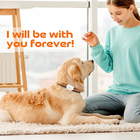 GPS Pet Tracker with Colorful LED Flash 4G Smart Pet Collar IP67 Waterproof Pedometer Pet Calorie Health Data Tracker White