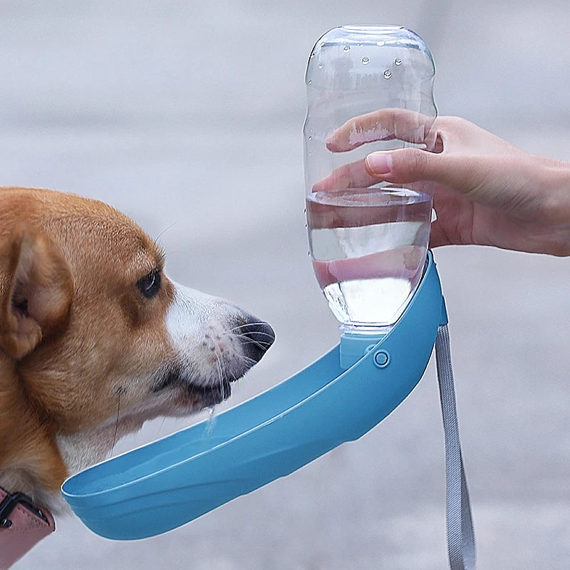 Portable Dog Water Bottle For Small Large Dogs Foldable Lightweight Drinking Bowl Outdoor Travel Walking Running Puppy Supplies