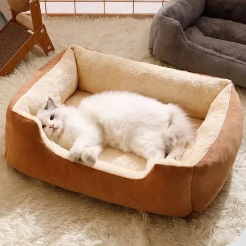 Cats Bed Dog Mat Beds Goods Pet Puppy Accessories All Products Kitten Cushions Things Accessory Houses Habitats House Supplies